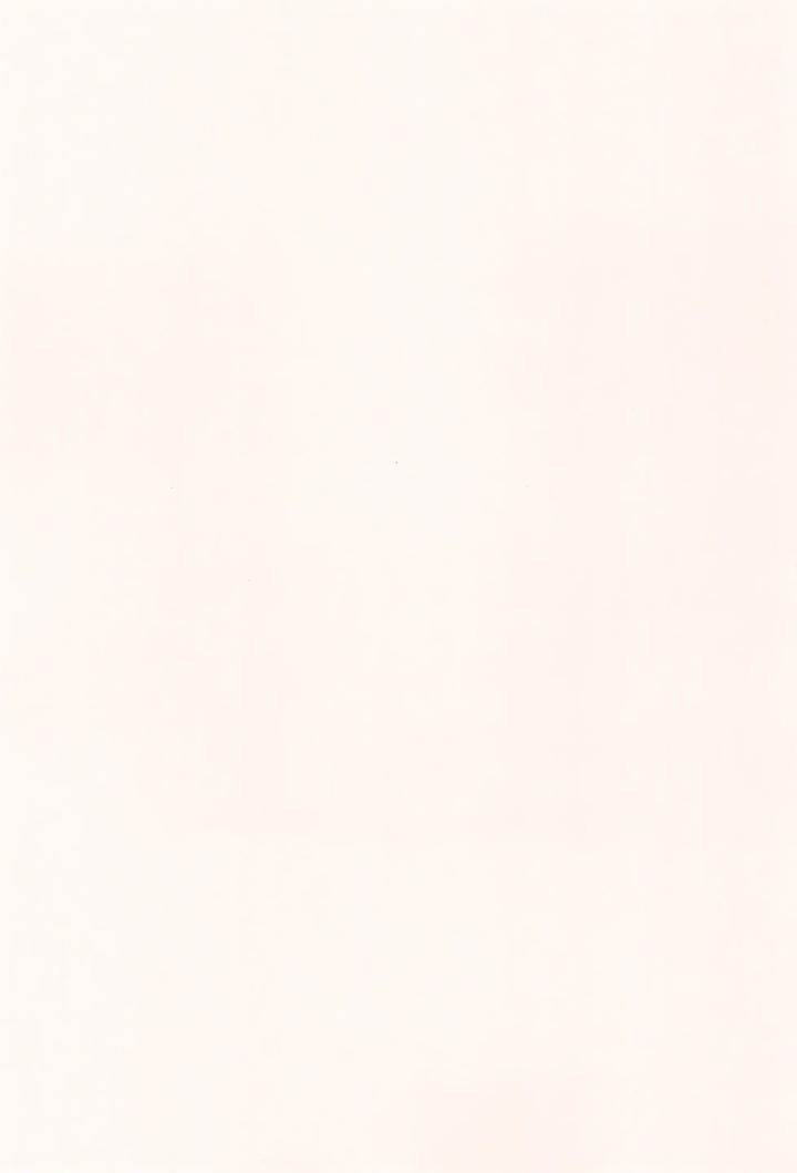 Hikaru-Ga-Shinda-Natsu-Dj-First-Love-By-Garagara-Jp page 3