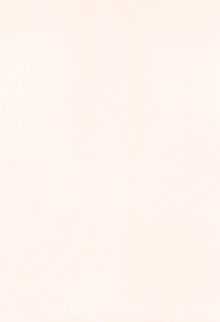 Hikaru-Ga-Shinda-Natsu-Dj-First-Love-By-Garagara-Jp page 4