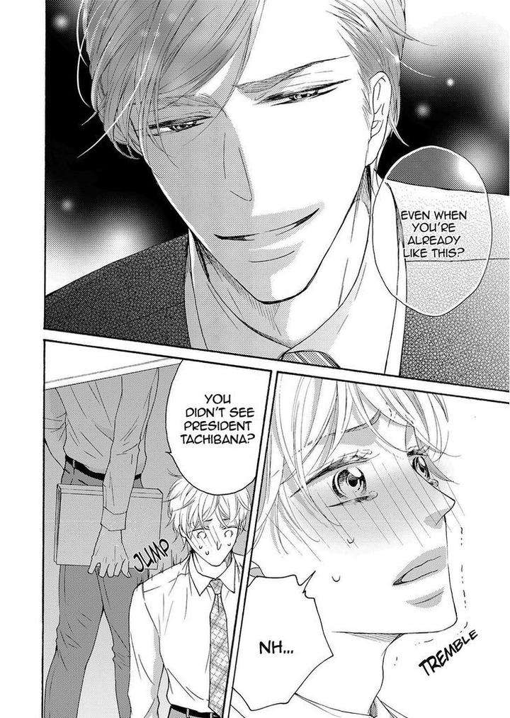 Hina-Wa-Mitsuiro-No-Koi-Ni-Torawareru-Tsubakino-Imeri-Eng page 6