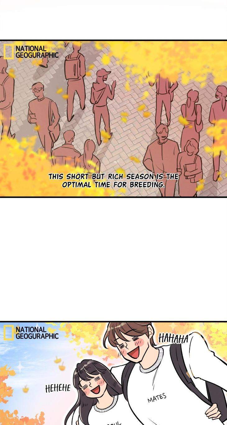 Honey-Bear-By-Ruyoung-Eng page 3