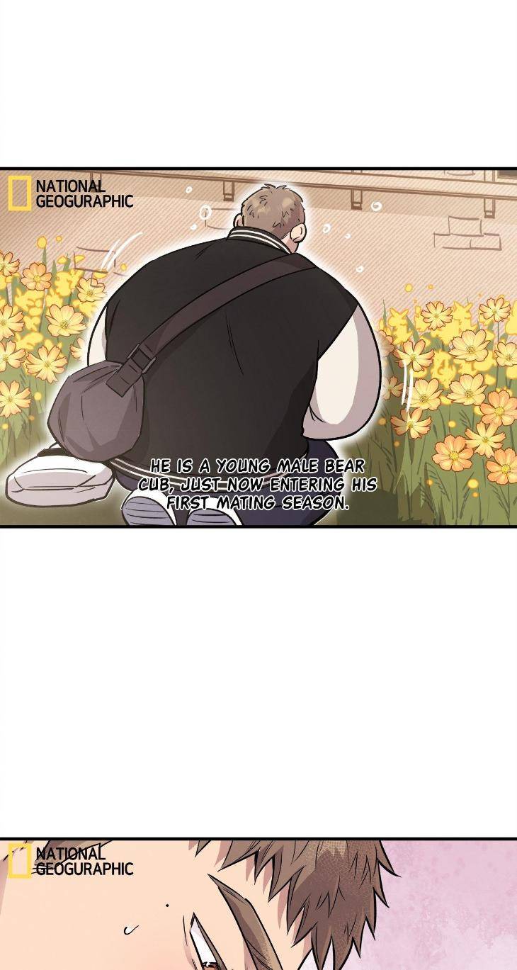 Honey-Bear-By-Ruyoung-Eng page 5