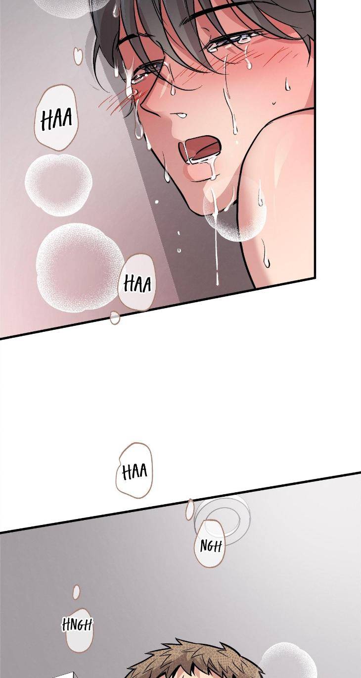 Honey-Bear-By-Ruyoung-Eng page 13