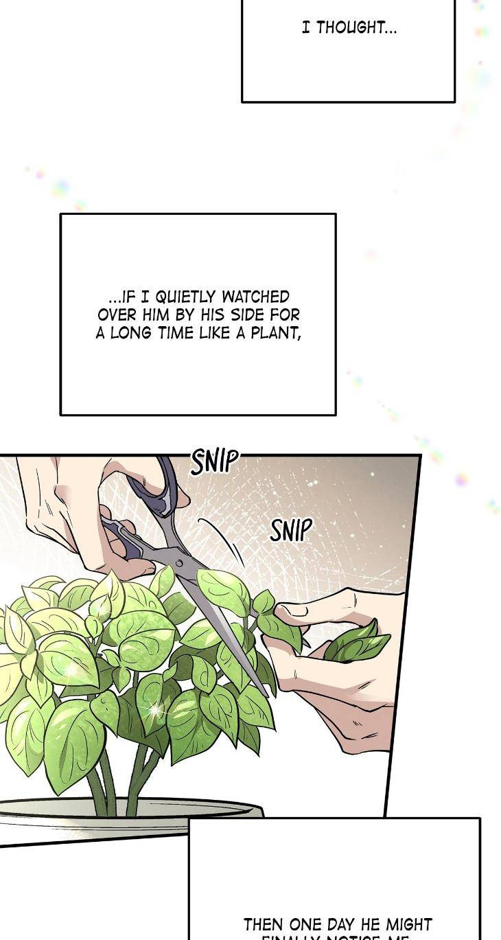 Honey-Bear-By-Ruyoung-Eng page 2