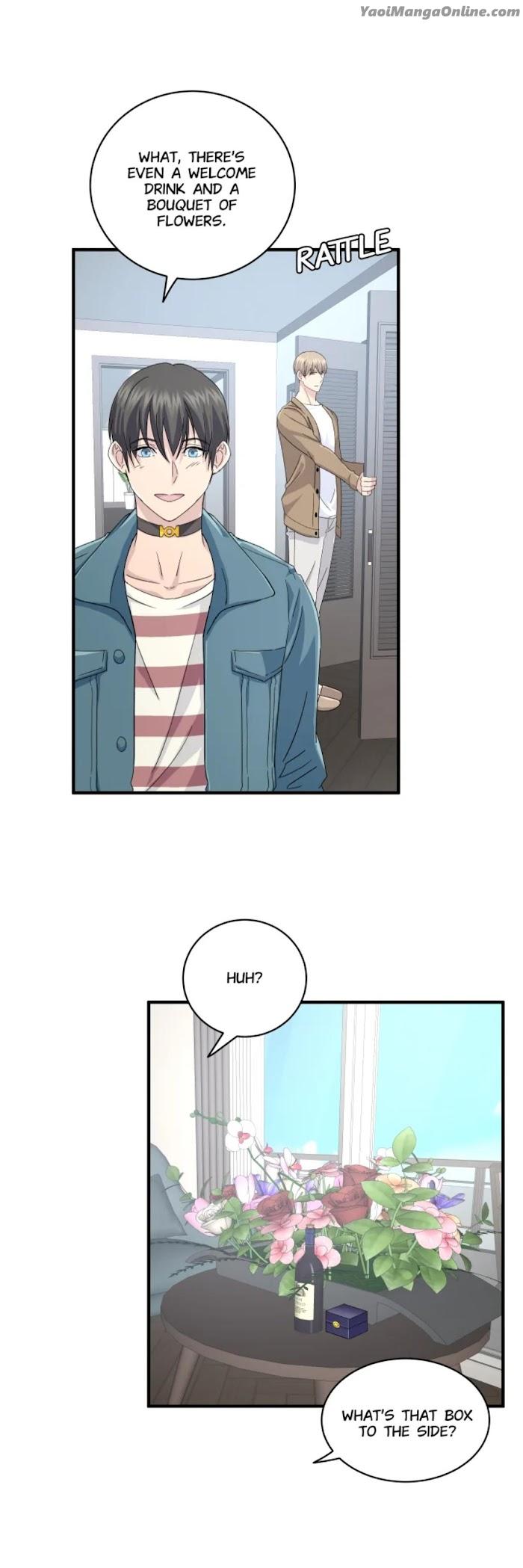 How-To-Be-An-Alpha-By-Dohan-Eng page 15