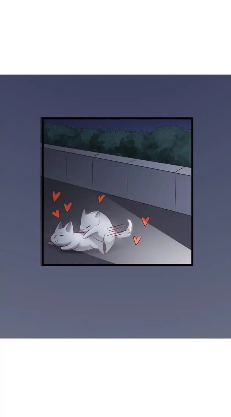 I-Dont-Want-To-Leave-Bachelorhood-Just-Like-That-By-Qian-Qiu-Ye-Eng page 8