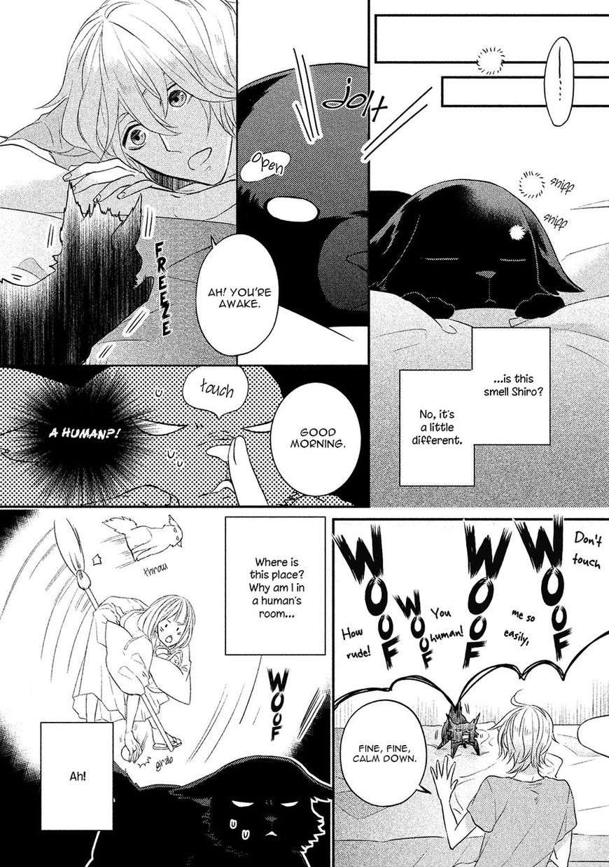 Kamisama-X-Oresama-X-Oyomesama-Kurahashi-Chouko-Eng page 8