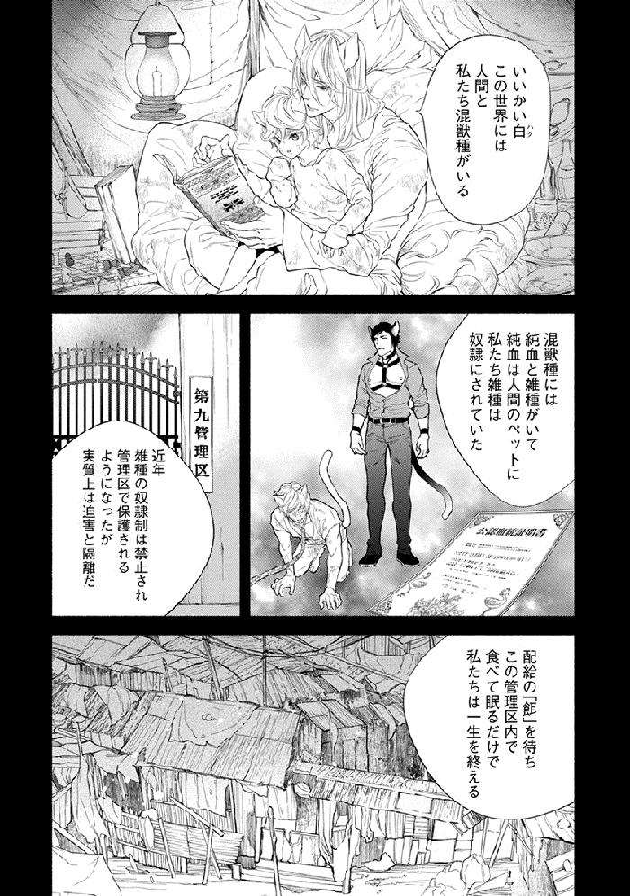 Kemono-Wa-Oku-Made-Aisaretai-By-Nangoku-Banana-Jp page 11