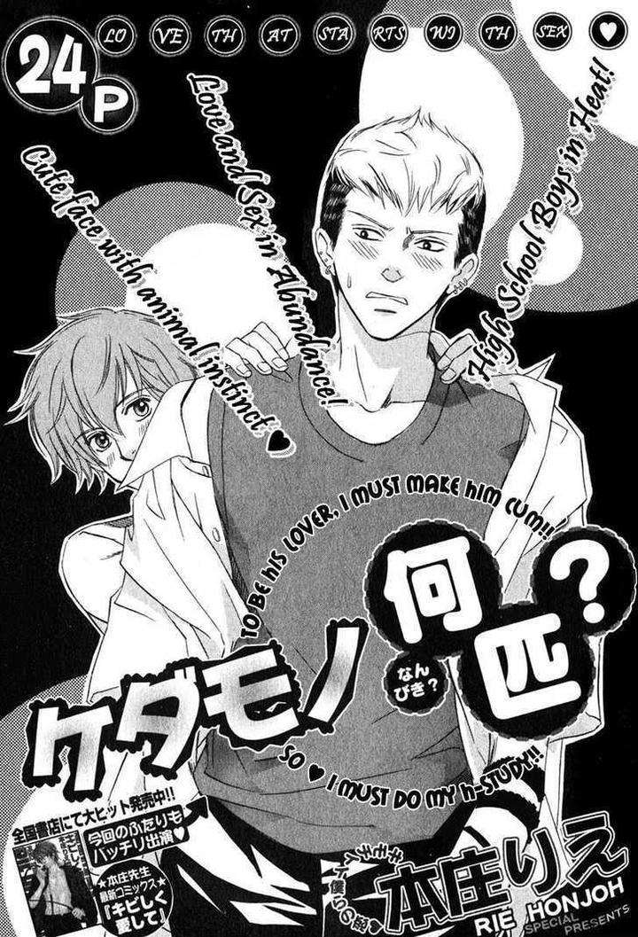 Kibishiku-Aishite-Love-Hard-Honjou-Rie-Eng page 8