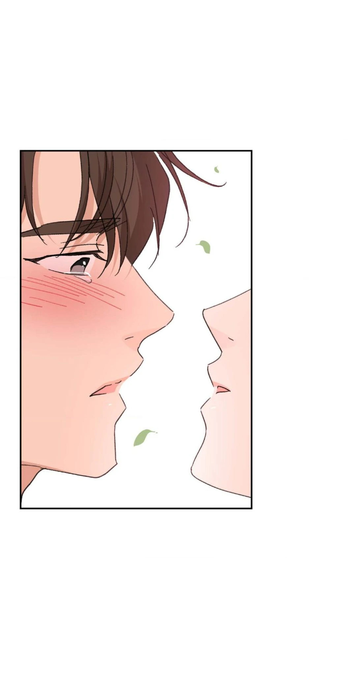 Leaves-Dancing-On-A-Melody-By-Waje-Uncensored-Eng page 88