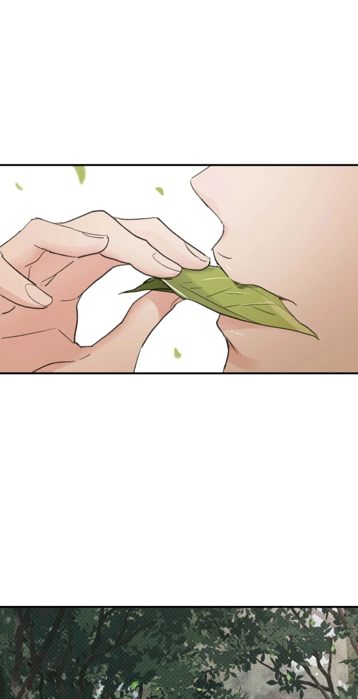 Leaves-Dancing-On-A-Melody-By-Waje-Uncensored-Eng page 69