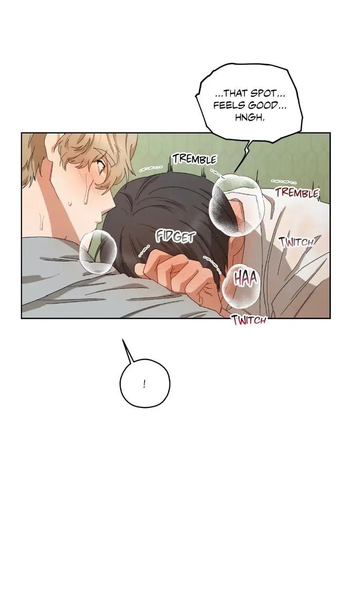 Liveta-By-Muzi-Eng page 21