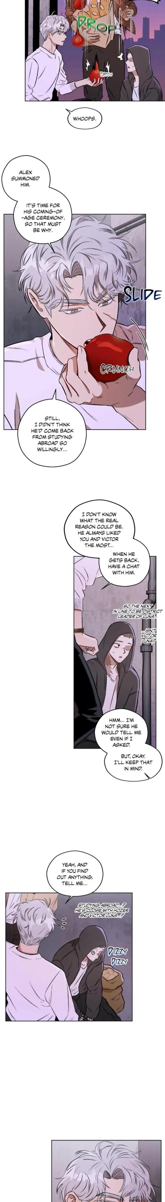 Liveta-By-Muzi-Eng page 13