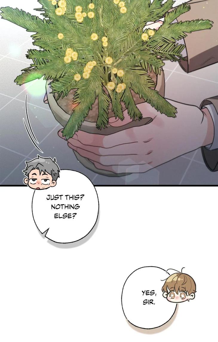 Love-History-Caused-By-Willful-Negligence-By-Uzutokkeng-Ginjyo-Eng page 33