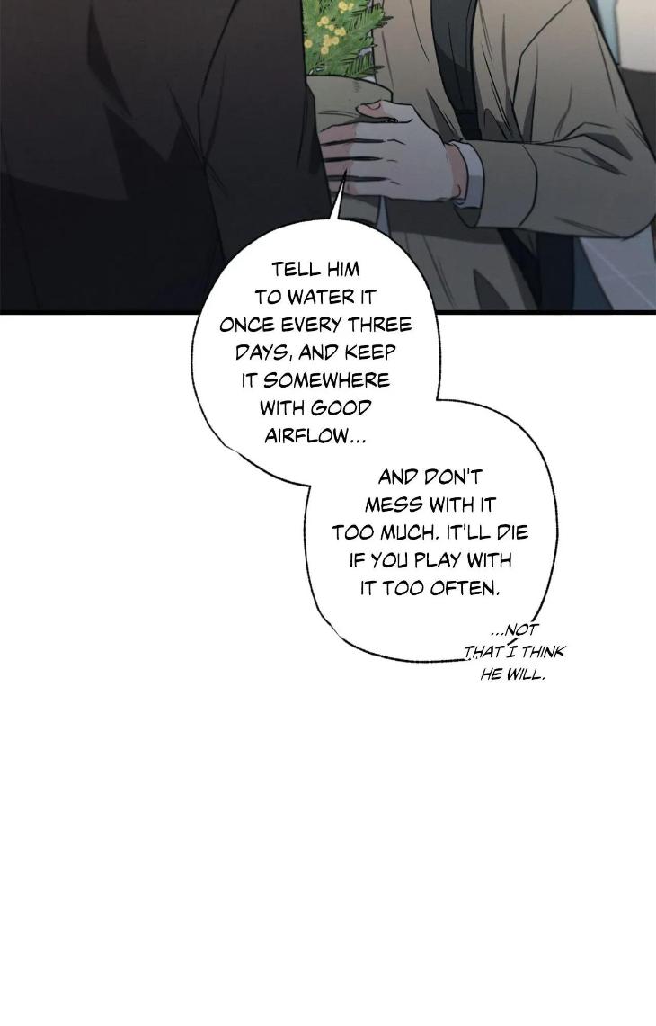 Love-History-Caused-By-Willful-Negligence-By-Uzutokkeng-Ginjyo-Eng page 37