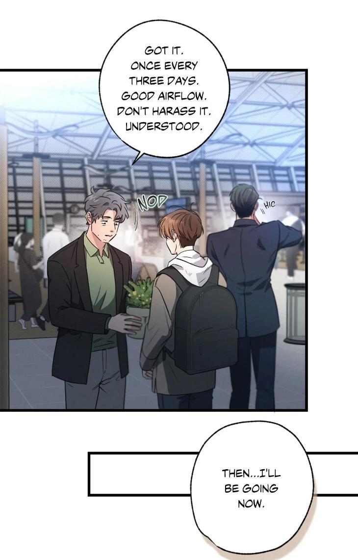 Love-History-Caused-By-Willful-Negligence-By-Uzutokkeng-Ginjyo-Eng page 38