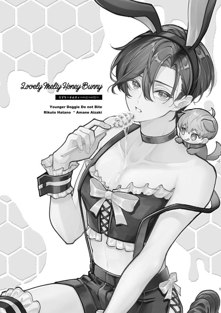 Lovely-Melty-Honey-Bunny-By-O-Tsumami-Hitokuchi-Saiya-Suguru-Jp page 2
