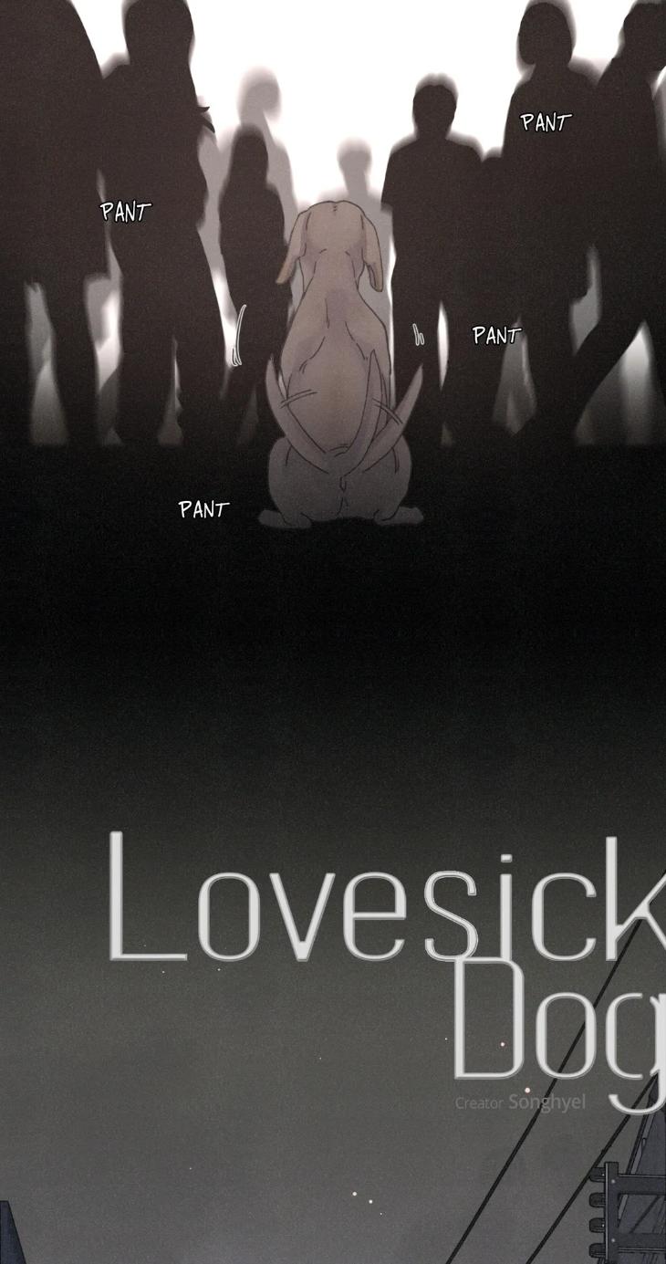Lovesick-Dog-By-Songhyel-Eng page 13