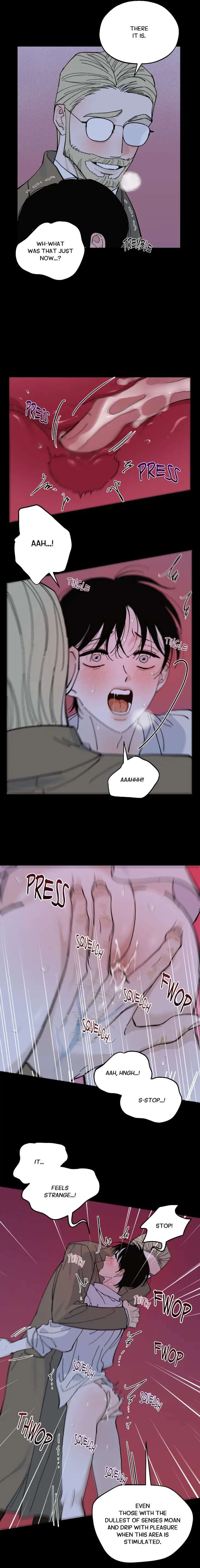 Maison-By-Leaf-Eng page 7