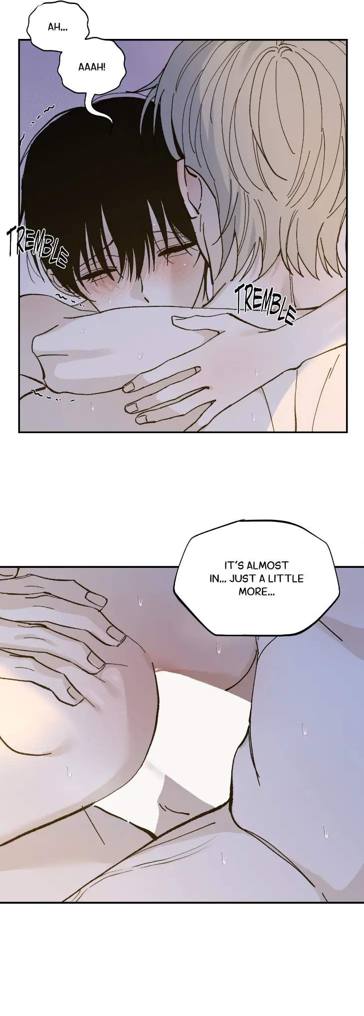 Maison-By-Leaf-Eng page 21
