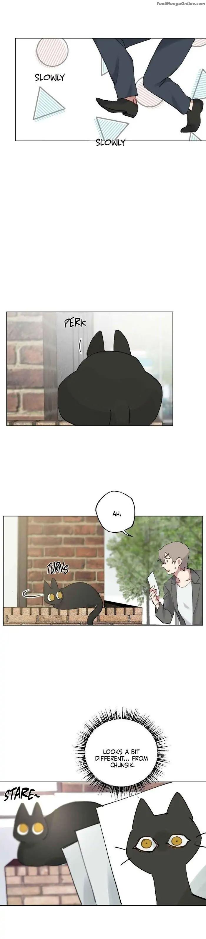 Monthly-Chest-By-Red-Peach-Eng page 5