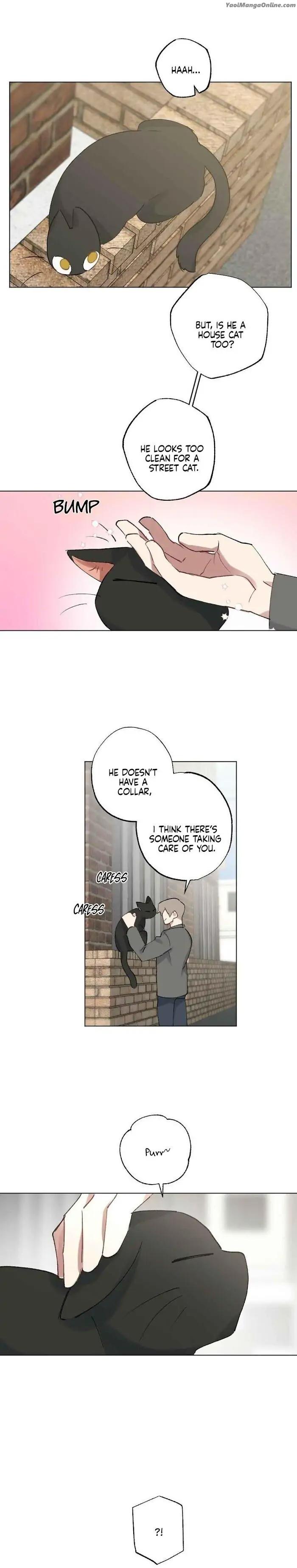 Monthly-Chest-By-Red-Peach-Eng page 6