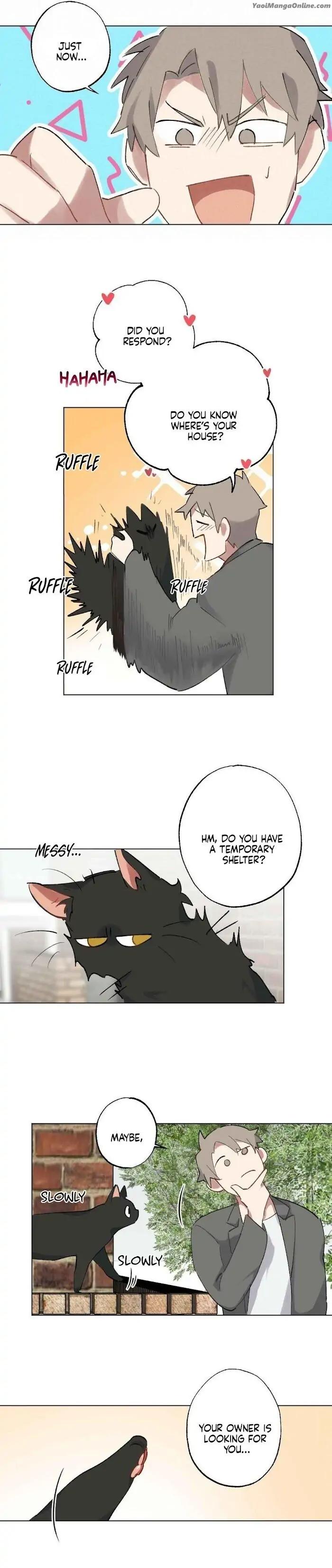 Monthly-Chest-By-Red-Peach-Eng page 7