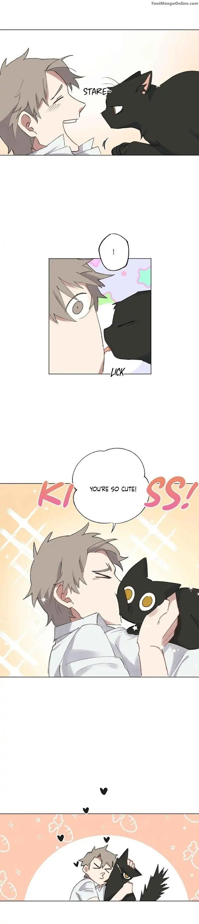 Monthly-Chest-By-Red-Peach-Eng page 14