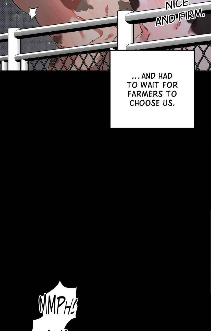 Mr-As-Farm-By-Nachioboy-Uncensored-Eng page 20