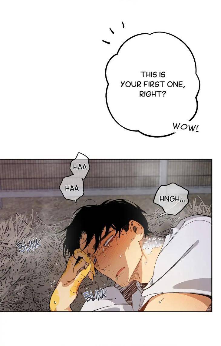 Mr-As-Farm-By-Nachioboy-Uncensored-Eng page 73