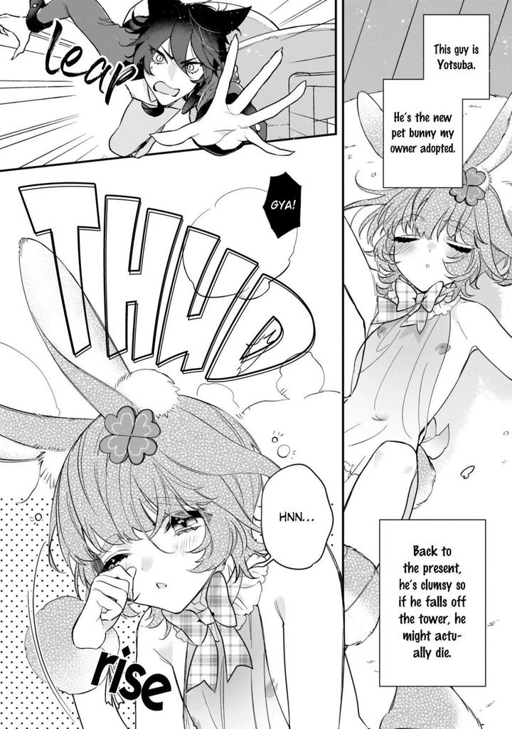 Neko-Hame-Usagi-Chan-Wa-Gaman-Shinai-By-Shiromitsu-Diaya-Eng page 5