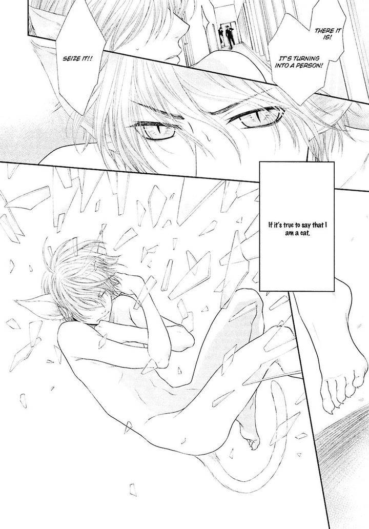 Nekoka-Danshi-No-Shitsukekata-By-Ukyou-Ayane-Vol-5-Eng page 28