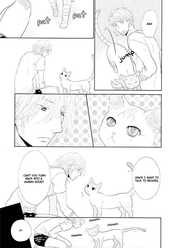 Nekoka-Danshi-No-Shitsukekata-By-Ukyou-Ayane-Vol-5-Eng page 37