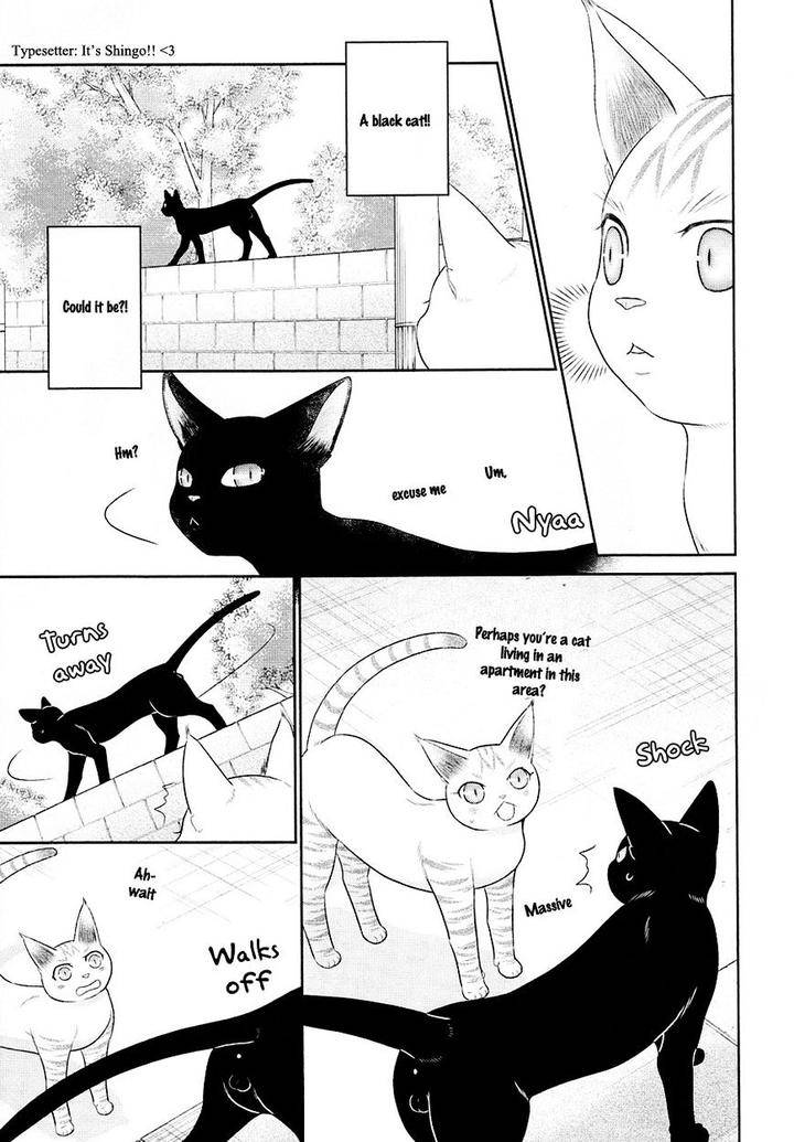 Nekoka-Danshi-No-Shitsukekata-By-Ukyou-Ayane-Vol-5-Eng page 14