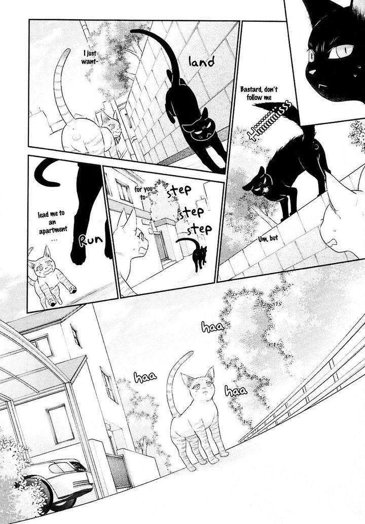 Nekoka-Danshi-No-Shitsukekata-By-Ukyou-Ayane-Vol-5-Eng page 15