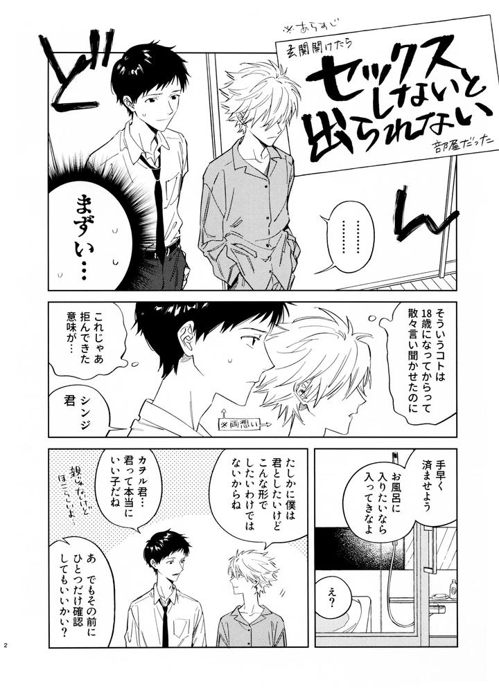 Neon-Genesis-Evangelion-Dj-Akenai-Kodomo-To-Otona-No-Jijou-By-M-Q-Hi-Jp-2 page 2