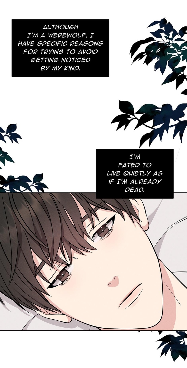 Night-Of-London-By-Cha-Yiwon-Eng page 17