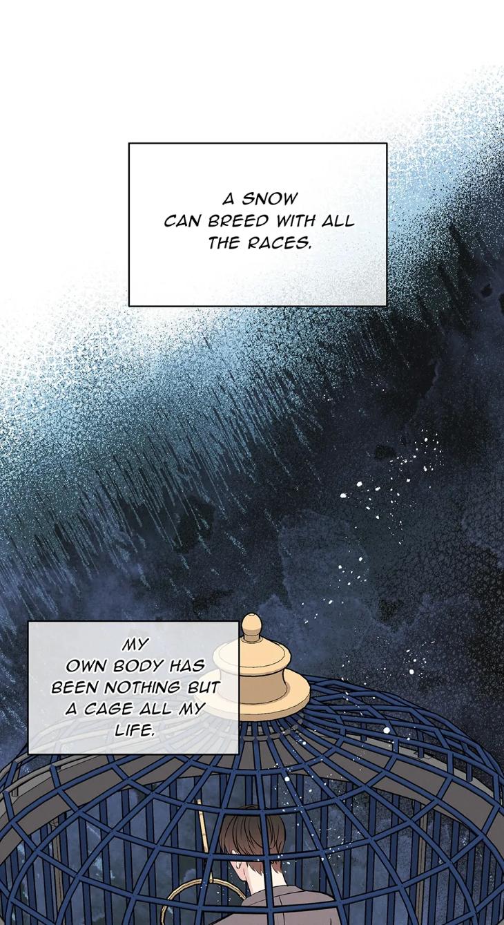 Night-Of-London-By-Cha-Yiwon-Eng page 19