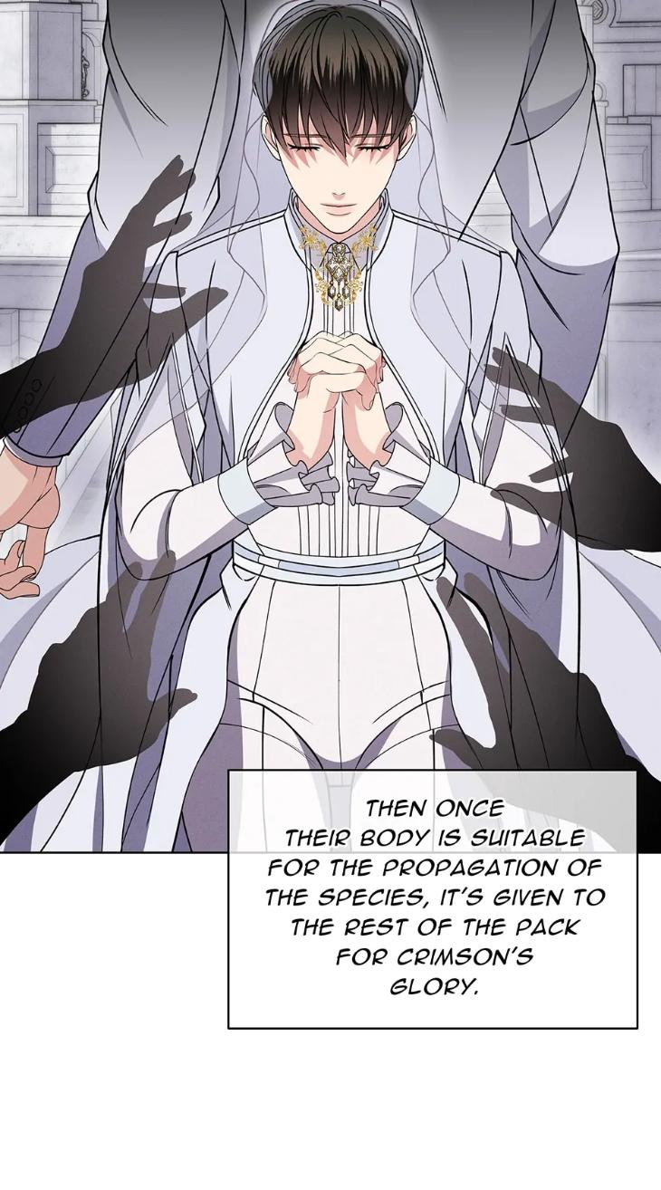 Night-Of-London-By-Cha-Yiwon-Eng page 15