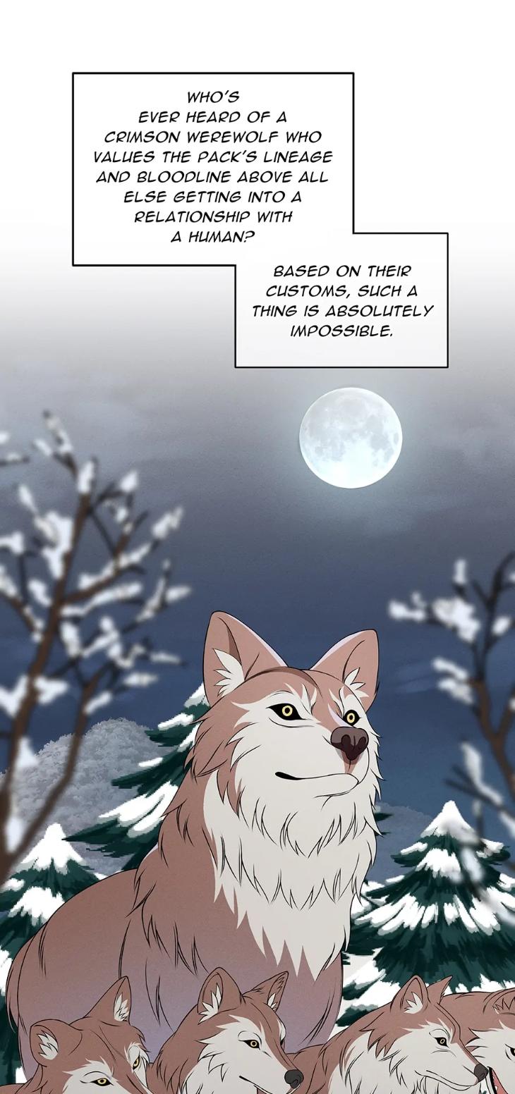 Night-Of-London-By-Cha-Yiwon-Eng page 48