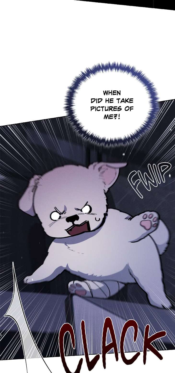 Paws-Claws-By-Duhaem-Uncensored-Eng page 43