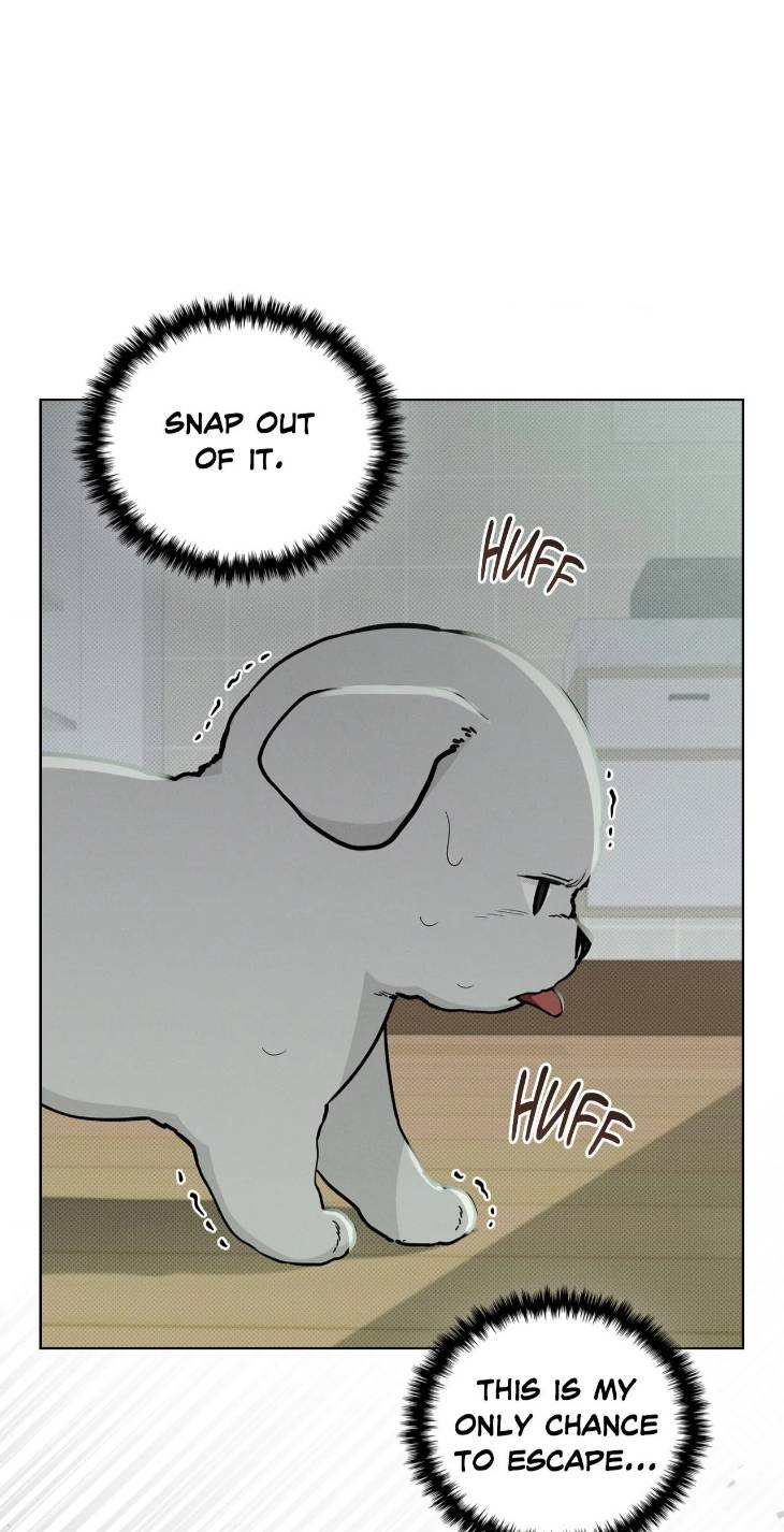 Paws-Claws-By-Duhaem-Uncensored-Eng page 67