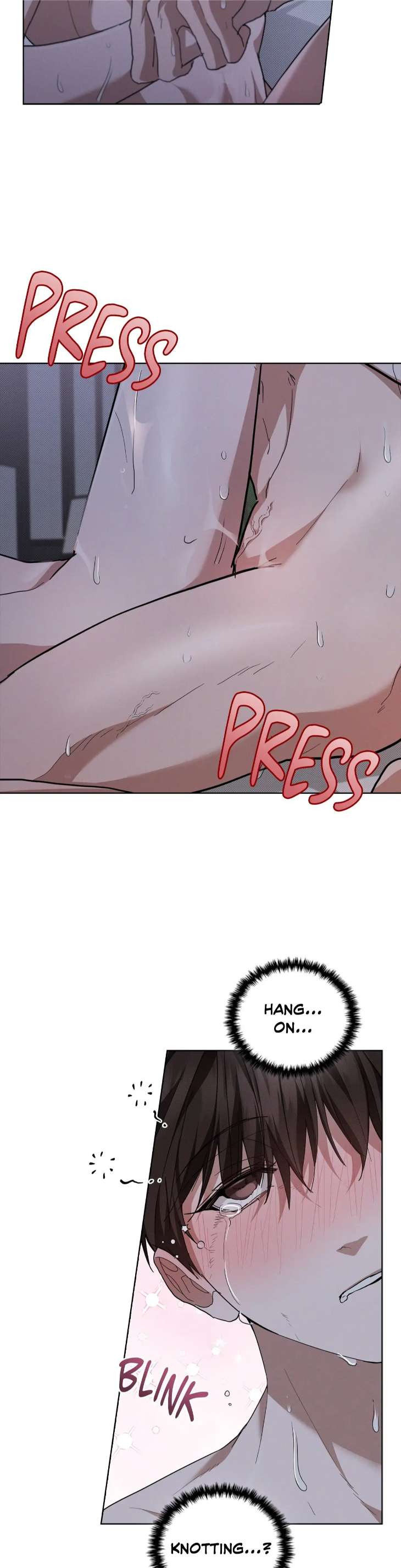 Paws-Claws-By-Duhaem-Uncensored-Eng page 29
