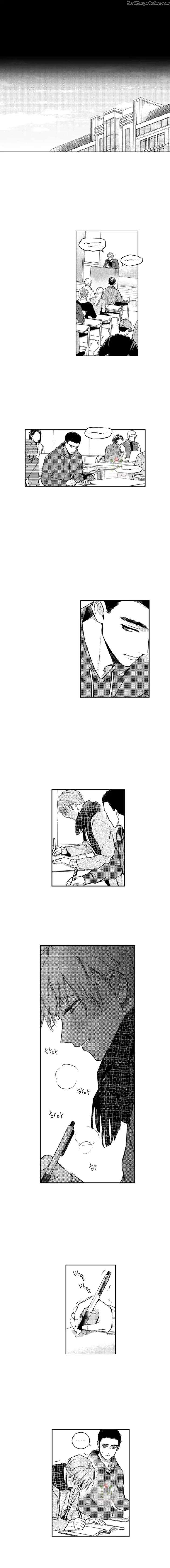 Perfect-Connection-By-Pppallet-Eng page 9