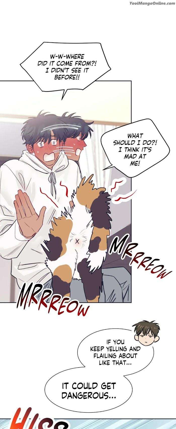 Perfectly-Broken-Love-By-Suma-Eng page 11