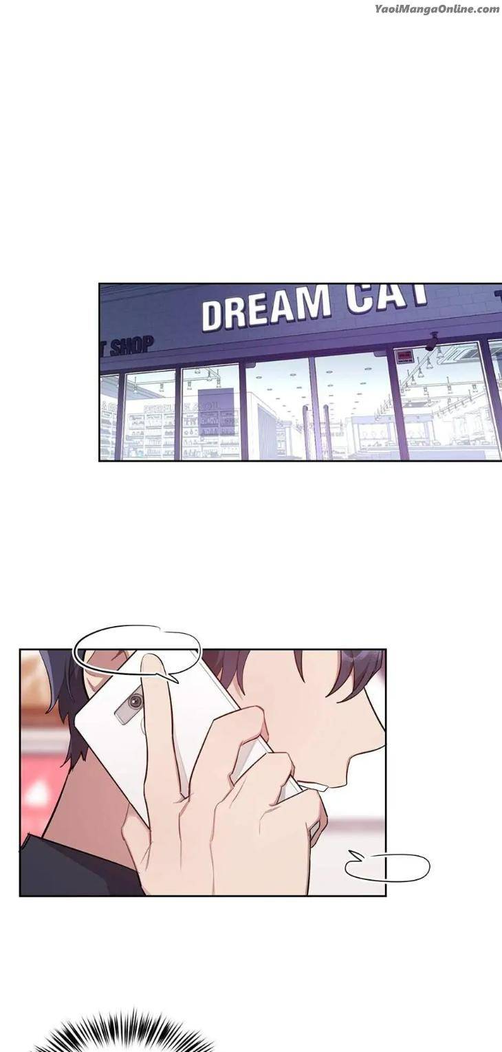 Pleasure-Principle-By-Shanghai-Green-Tea-Cereal-Eng page 15