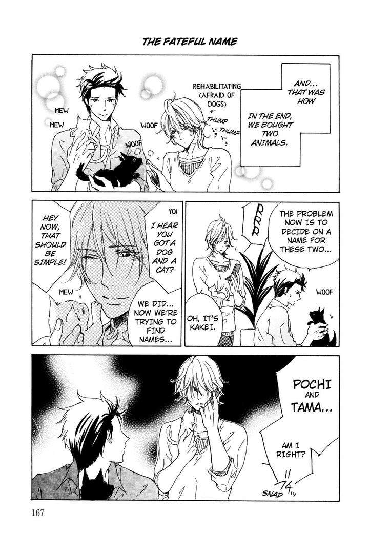 Pochi-Tama-Tamaki-Yura-Eng page 3
