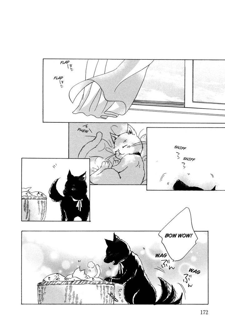 Pochi-Tama-Tamaki-Yura-Eng page 8