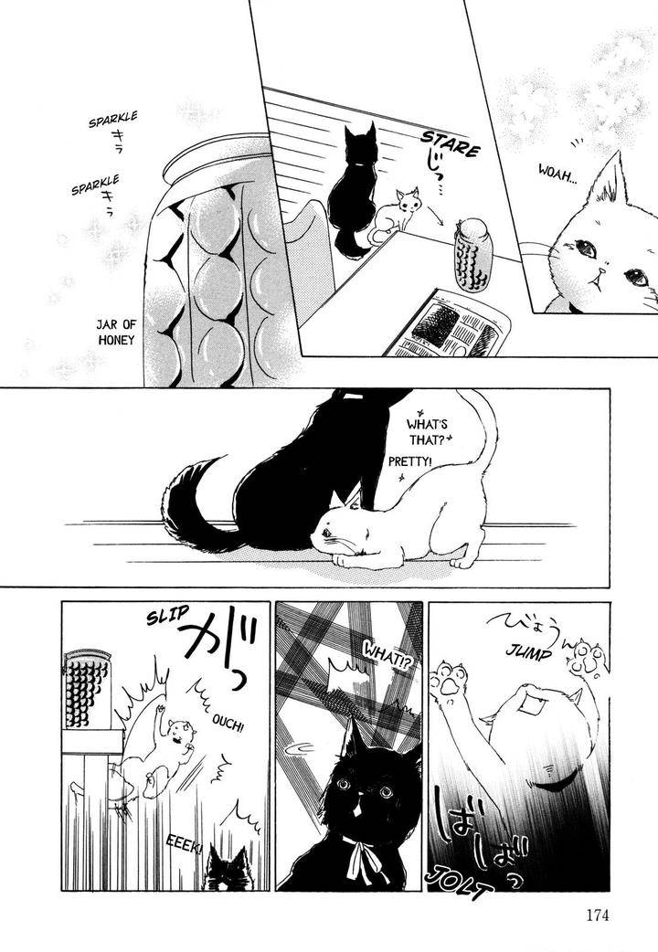 Pochi-Tama-Tamaki-Yura-Eng page 10