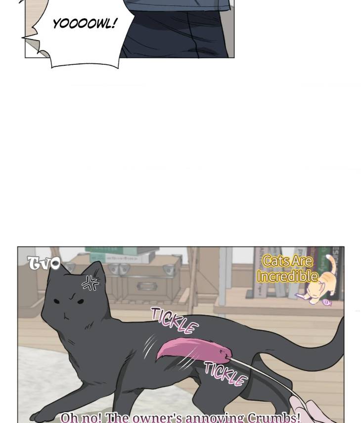 Pond-Where-Flowers-Fall-By-Kongham-Uncensored-Eng page 15