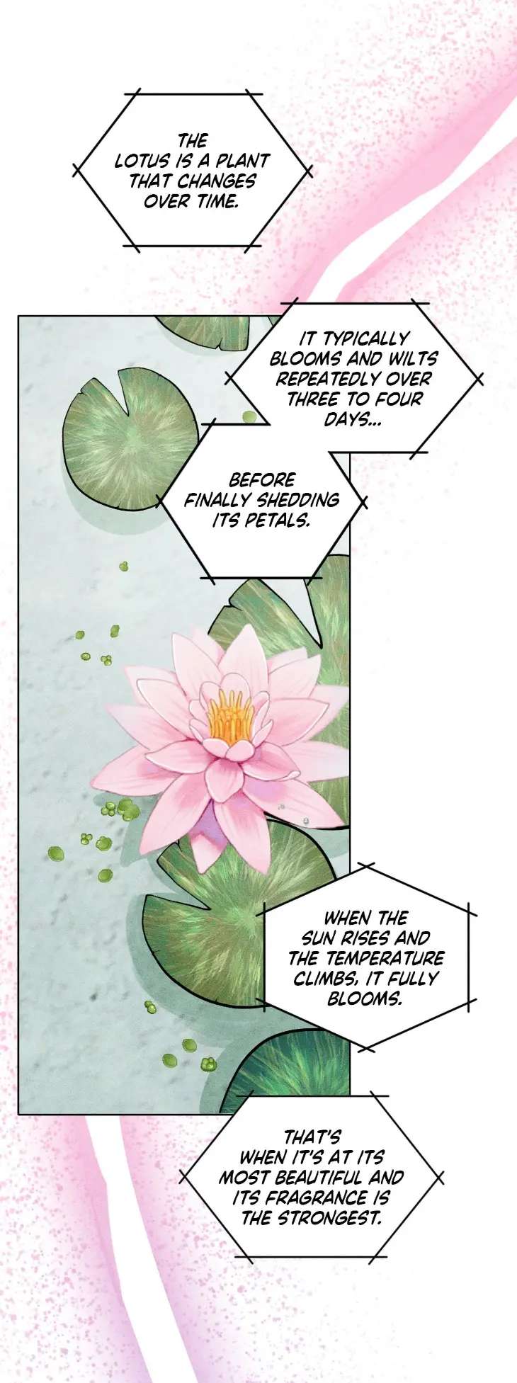 Pond-Where-Flowers-Fall-By-Kongham-Uncensored-Eng page 9